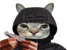 :CS_Roule: