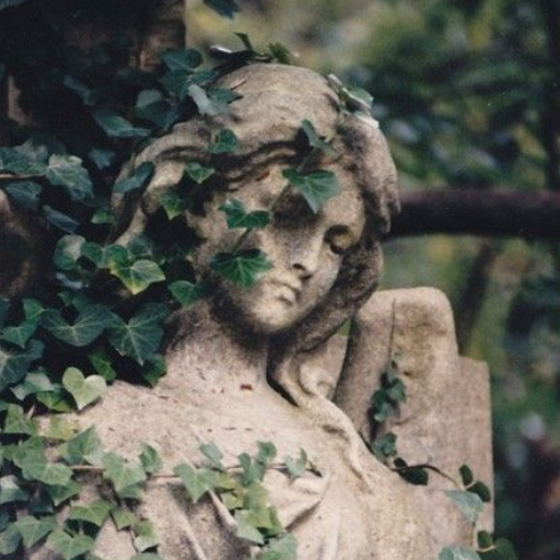 Lierre