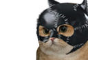 :sodium_sm: