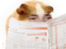 :Hamster_journal:
