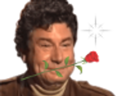:romantique: