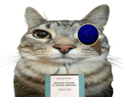 :CS_Evola: