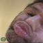 Photo de profil de BigScrotum