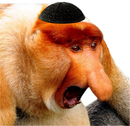 :singe_juif2: