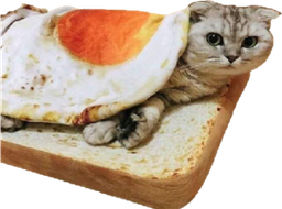 :chatoast_: