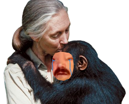 :mamansinge: