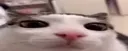 :plink: