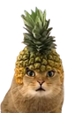 :ChatAnanas: