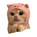 :Chatcochon: