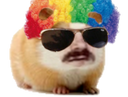 :risitas_hamster_perruque: