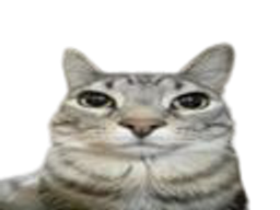 :Chat_heu: