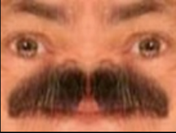 :risitos: