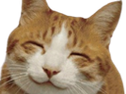 :HappyCat2: