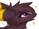 :JoeUmbre5: