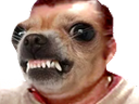 :risichien: