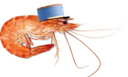 :aspifion: