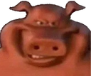 :COCHOUNOU: