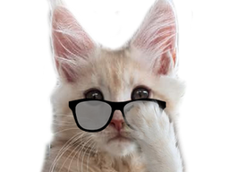 :chat_psy: