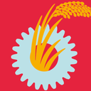 Iaed