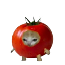 :Chatomate: