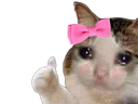 :chat_kheyette: