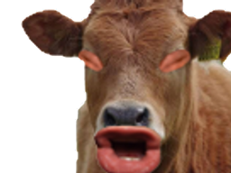 :vache_eussou: