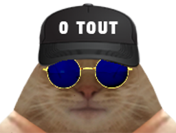 :chat_casquette: