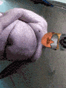 :Golempipidroite: