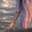 Photo de profil de Sunset