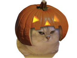 :Chatrouille: