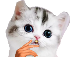 :chatfume: