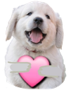 :Chien_coeur: