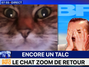 :ChatZmedia: