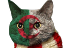 :Chat-Algerie: