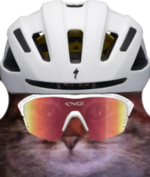 :chat_zoom_golemvelo: