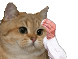:sodium_sueur: