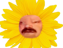 :celestin_tournesol: