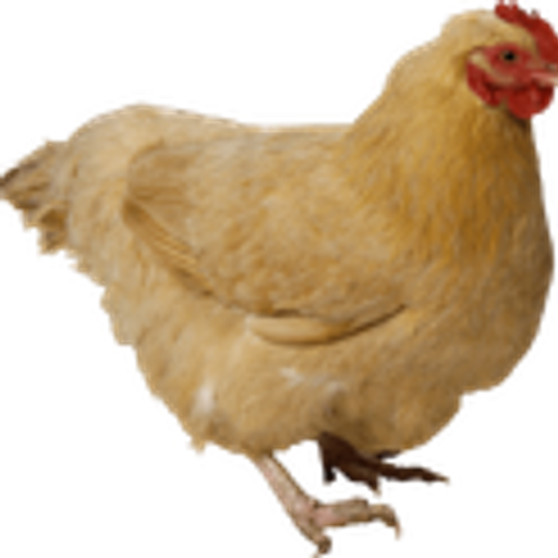 PouleDuJardin