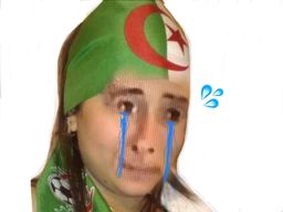 :bougnoule_pleure: