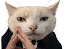 :Chatmastermind:
