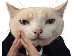 :Chatmastermind: