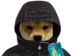 :ChienCaprisun: