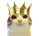 :chat_marrant_roi: