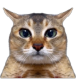 :Mais_tavais_dit: