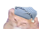 :zzzzz: