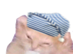 :zzzzz: