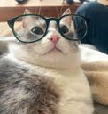 :chatconfus: