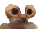 :Chatchelououais: