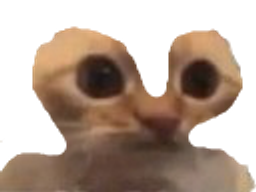 :Chatchelououais: