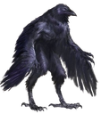 :oiseau_malefique: